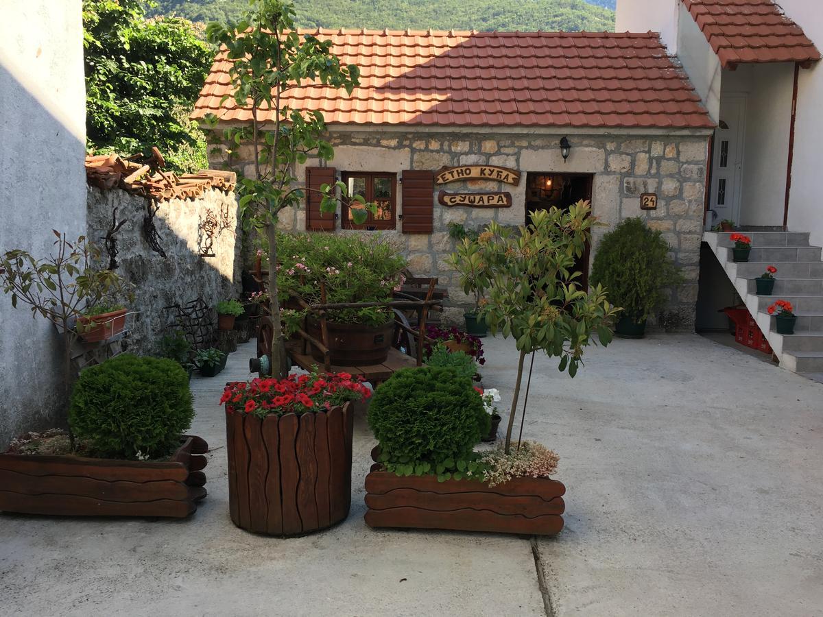 Bnb Njeguska Sijela Njegusi Exterior photo